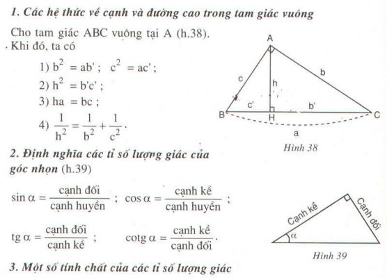 dien tich tam giac vuong