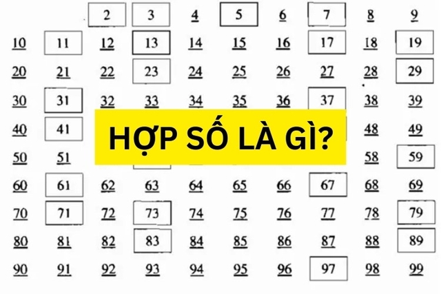 Hợp số là gì
